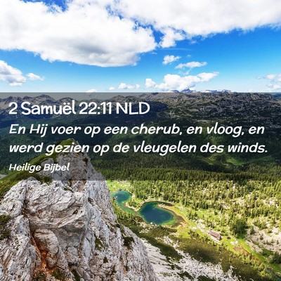 Picture 02 - 2 Samuël 22:11 NLD - En Hij voer op een cherub, en vloog, en werd - Bible Verse Picture