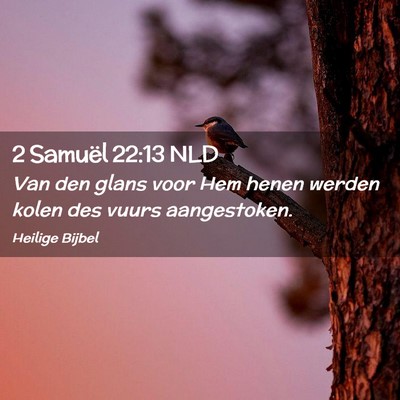 Picture 02 - 2 Samuël 22:13 NLD - Van den glans voor Hem henen werden kolen des - Bible Verse Picture