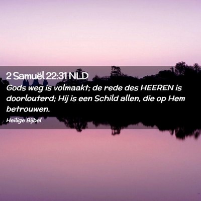 Picture 02 - 2 Samuël 22:31 NLD - Gods weg is volmaakt; de rede des HEEREN is - Bible Verse Picture