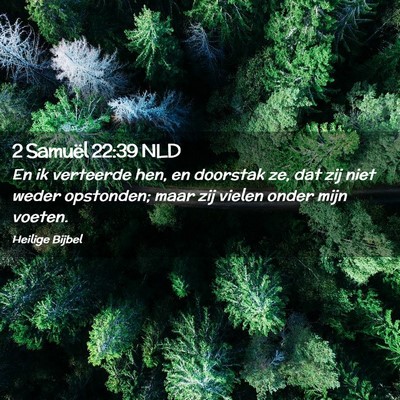 Picture 02 - 2 Samuël 22:39 NLD - En ik verteerde hen, en doorstak ze, dat zij niet - Bible Verse Picture
