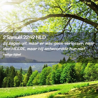 Picture 02 - 2 Samuël 22:42 NLD - Zij zagen uit, maar er was geen verlosser; naar - Bible Verse Picture