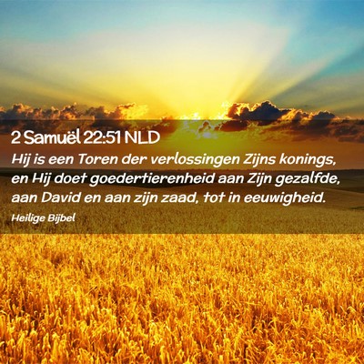 Picture 02 - 2 Samuël 22:51 NLD - Hij is een Toren der verlossingen Zijns konings, - Bible Verse Picture