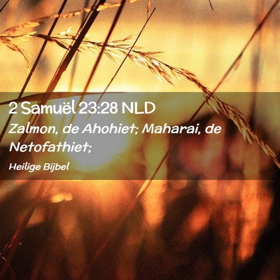 Picture 02 - 2 Samuël 23:28 NLD - Zalmon, de Ahohiet; Maharai, de - Bible Verse Picture