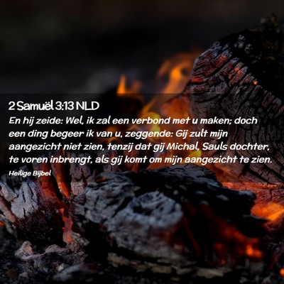 Picture 02 - 2 Samuël 3:13 NLD - En hij zeide: Wel, ik zal een verbond met u - Bible Verse Picture