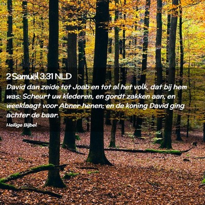 Picture 02 - 2 Samuël 3:31 NLD - David dan zeide tot Joab en tot al het volk, dat - Bible Verse Picture