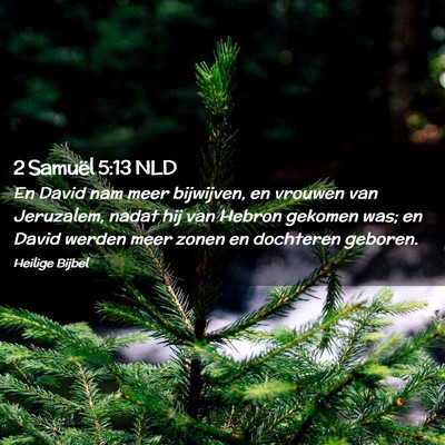 Picture 02 - 2 Samuël 5:13 NLD - En David nam meer bijwijven, en vrouwen van - Bible Verse Picture