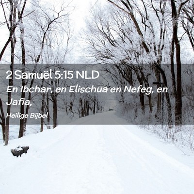 Picture 02 - 2 Samuël 5:15 NLD - En Ibchar, en Elischua en Nefeg, en - Bible Verse Picture
