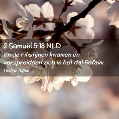 Picture 02 - 2 Samuël 5:18 NLD - En de Filistijnen kwamen en verspreidden zich in - Bible Verse Picture
