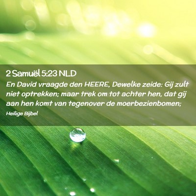 Picture 02 - 2 Samuël 5:23 NLD - En David vraagde den HEERE, Dewelke zeide: Gij - Bible Verse Picture