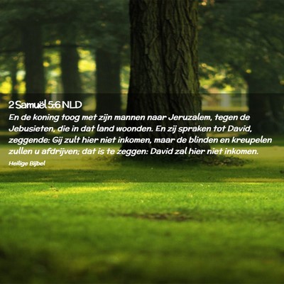 Picture 02 - 2 Samuël 5:6 NLD - En de koning toog met zijn mannen naar Jeruzalem, - Bible Verse Picture