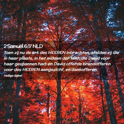 Picture 02 - 2 Samuël 6:17 NLD - Toen zij nu de ark des HEEREN inbrachten, stelden - Bible Verse Picture