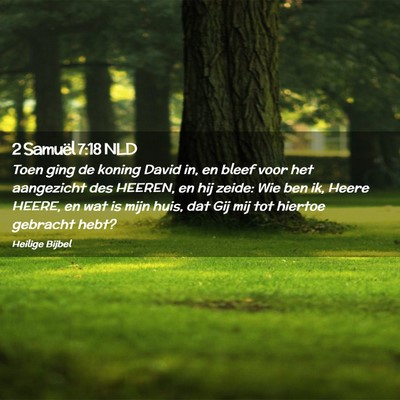Picture 02 - 2 Samuël 7:18 NLD - Toen ging de koning David in, en bleef voor het - Bible Verse Picture