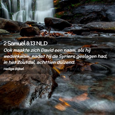 Picture 02 - 2 Samuël 8:13 NLD - Ook maakte zich David een naam, als hij - Bible Verse Picture