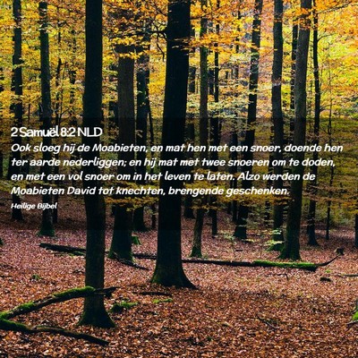 Picture 02 - 2 Samuël 8:2 NLD - Ook sloeg hij de Moabieten, en mat hen met een - Bible Verse Picture