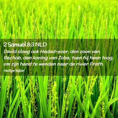 Picture 02 - 2 Samuël 8:3 NLD - David sloeg ook Hadad-ezer, den zoon van Rechob, - Bible Verse Picture