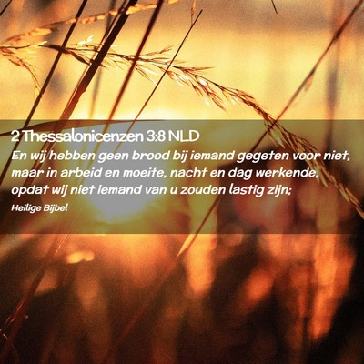 Picture 02 - 2 Thessalonicenzen 3:8 NLD - En wij hebben geen brood bij iemand gegeten voor - Bible Verse Picture