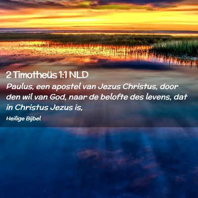 Picture 02 - 2 Timotheüs 1:1 NLD - Paulus, een apostel van Jezus Christus, door den - Bible Verse Picture