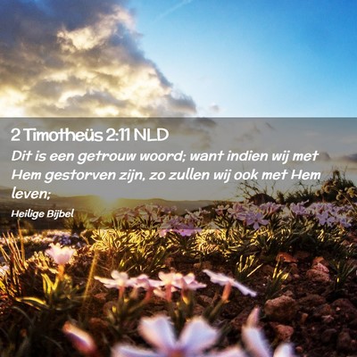 Picture 02 - 2 Timotheüs 2:11 NLD - Dit is een getrouw woord; want indien wij met Hem - Bible Verse Picture