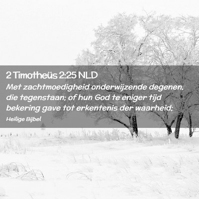 Picture 02 - 2 Timotheüs 2:25 NLD - Met zachtmoedigheid onderwijzende degenen, die - Bible Verse Picture