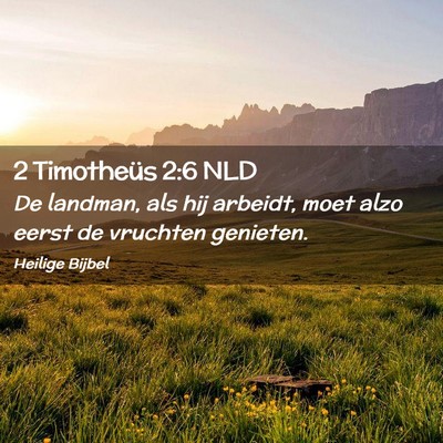 Picture 02 - 2 Timotheüs 2:6 NLD - De landman, als hij arbeidt, moet alzo eerst de - Bible Verse Picture