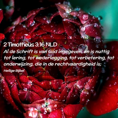 Picture 02 - 2 Timotheüs 3:16 NLD - Al de Schrift is van God ingegeven, en is nuttig - Bible Verse Picture