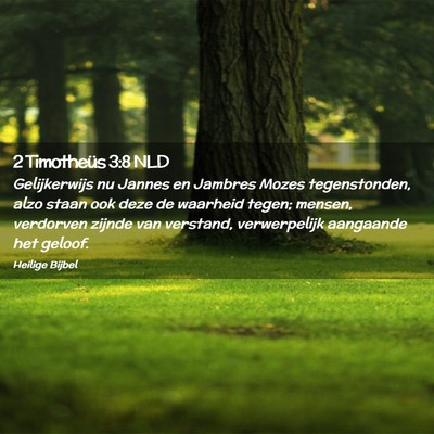 Picture 02 - 2 Timotheüs 3:8 NLD - Gelijkerwijs nu Jannes en Jambres Mozes - Bible Verse Picture