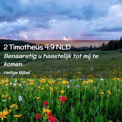 Picture 02 - 2 Timotheüs 4:9 NLD - Benaarstig u haastelijk tot mij te - Bible Verse Picture