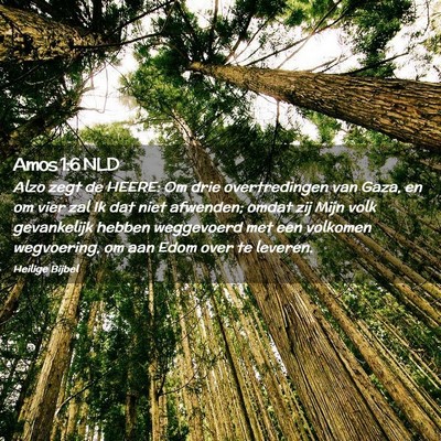 Picture 02 - Amos 1:6 NLD - Alzo zegt de HEERE: Om drie overtredingen van - Bible Verse Picture