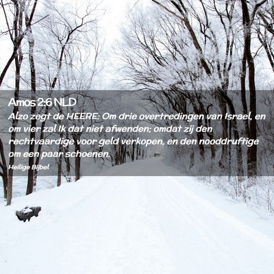 Picture 02 - Amos 2:6 NLD - Alzo zegt de HEERE: Om drie overtredingen van - Bible Verse Picture