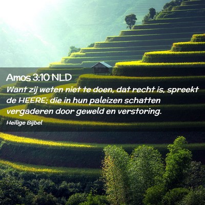 Picture 02 - Amos 3:10 NLD - Want zij weten niet te doen, dat recht is, - Bible Verse Picture