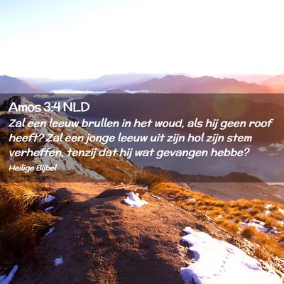 Picture 02 - Amos 3:4 NLD - Zal een leeuw brullen in het woud, als hij geen - Bible Verse Picture
