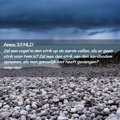 Picture 02 - Amos 3:5 NLD - Zal een vogel in den strik op de aarde vallen, - Bible Verse Picture
