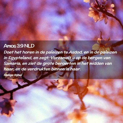 Picture 02 - Amos 3:9 NLD - Doet het horen in de paleizen te Asdod, en in de - Bible Verse Picture
