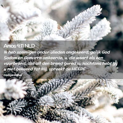 Picture 02 - Amos 4:11 NLD - Ik heb sommigen onder ulieden omgekeerd, gelijk - Bible Verse Picture