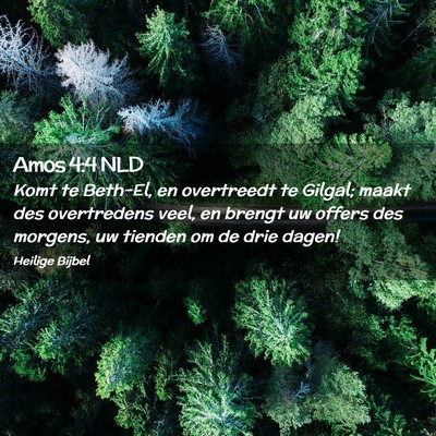 Picture 02 - Amos 4:4 NLD - Komt te Beth-El, en overtreedt te Gilgal; maakt - Bible Verse Picture