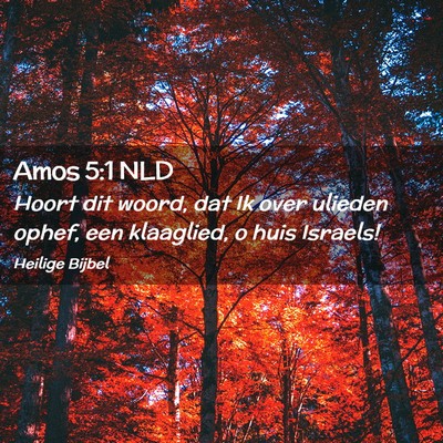 Picture 02 - Amos 5:1 NLD - Hoort dit woord, dat Ik over ulieden ophef, een - Bible Verse Picture