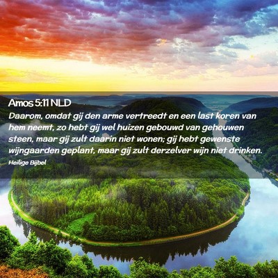 Picture 02 - Amos 5:11 NLD - Daarom, omdat gij den arme vertreedt en een last - Bible Verse Picture
