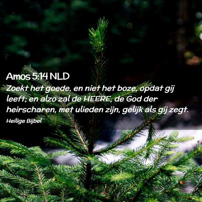 Picture 02 - Amos 5:14 NLD - Zoekt het goede, en niet het boze, opdat gij - Bible Verse Picture