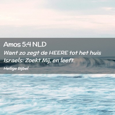 Picture 02 - Amos 5:4 NLD - Want zo zegt de HEERE tot het huis Israels: Zoekt - Bible Verse Picture
