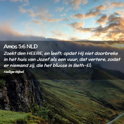 Picture 02 - Amos 5:6 NLD - Zoekt den HEERE, en leeft; opdat Hij niet - Bible Verse Picture