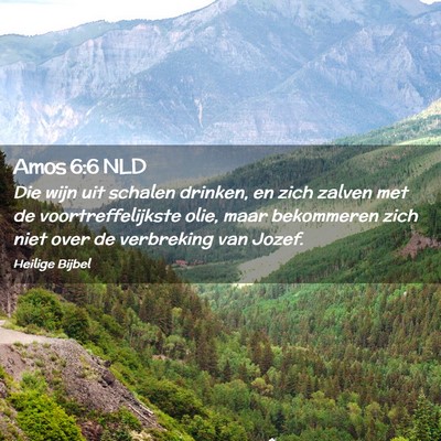 Picture 02 - Amos 6:6 NLD - Die wijn uit schalen drinken, en zich zalven met - Bible Verse Picture