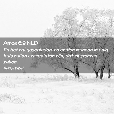 Picture 02 - Amos 6:9 NLD - En het zal geschieden, zo er tien mannen in enig - Bible Verse Picture