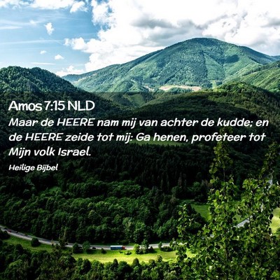 Picture 02 - Amos 7:15 NLD - Maar de HEERE nam mij van achter de kudde; en de - Bible Verse Picture