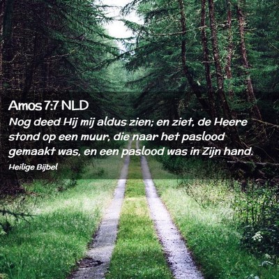 Picture 02 - Amos 7:7 NLD - Nog deed Hij mij aldus zien; en ziet, de Heere - Bible Verse Picture