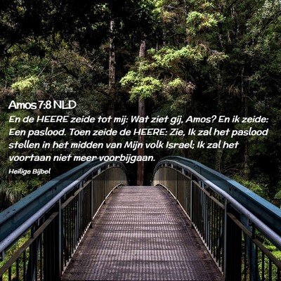 Picture 02 - Amos 7:8 NLD - En de HEERE zeide tot mij: Wat ziet gij, Amos? En - Bible Verse Picture