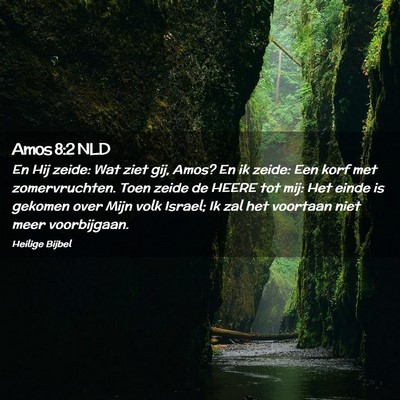 Picture 02 - Amos 8:2 NLD - En Hij zeide: Wat ziet gij, Amos? En ik zeide: - Bible Verse Picture