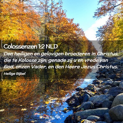 Picture 02 - Colossenzen 1:2 NLD - Den heiligen en gelovigen broederen in Christus, - Bible Verse Picture