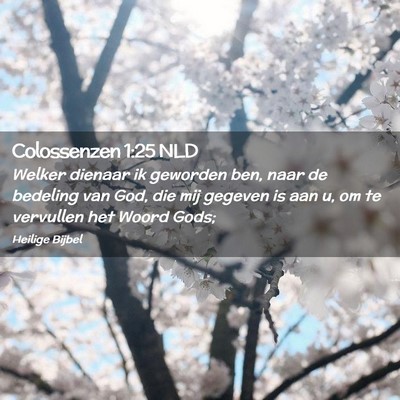 Picture 02 - Colossenzen 1:25 NLD - Welker dienaar ik geworden ben, naar de bedeling - Bible Verse Picture