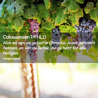Picture 02 - Colossenzen 1:4 NLD - Alzo wij van uw geloof in Christus Jezus gehoord - Bible Verse Picture
