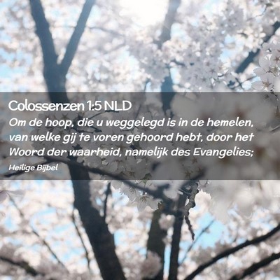 Picture 02 - Colossenzen 1:5 NLD - Om de hoop, die u weggelegd is in de hemelen, van - Bible Verse Picture